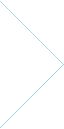 Web and Portfolio Solutions